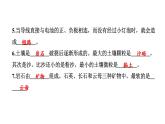 2024教科版科学四年级下册期末测试卷（一） 作业课件ppt