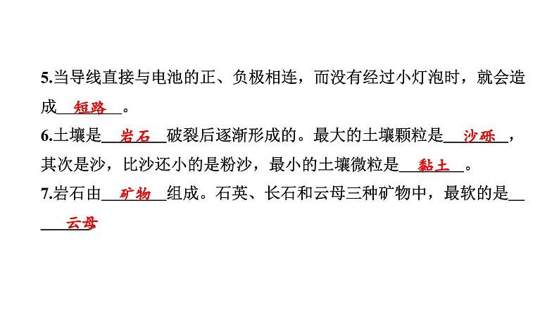 2024教科版科学四年级下册期末测试卷（一） 作业课件ppt第3页