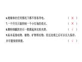 2024教科版科学四年级下册期末测试卷（一） 作业课件ppt