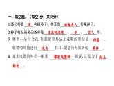 2024教科版科学四年级下册期中测试卷 作业课件ppt