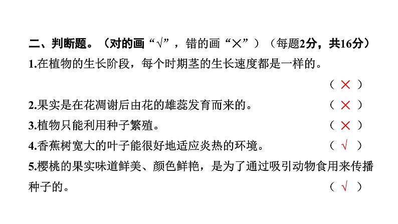 2024教科版科学四年级下册期中测试卷 作业课件ppt第4页