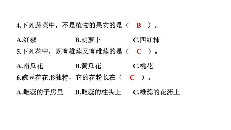 2024教科版科学四年级下册期中测试卷 作业课件ppt第7页