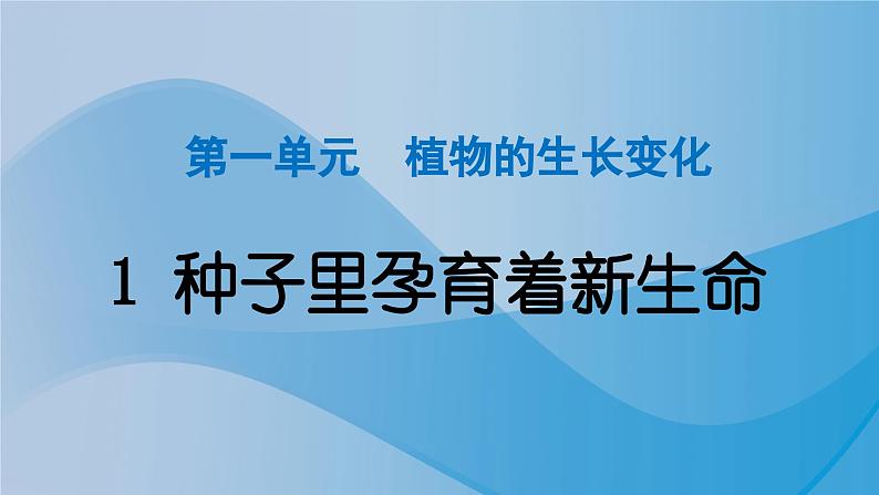 2024教科版科学四年级下册第一单元植物的生长变化1 种子里孕育着新生命 作业课件ppt第1页