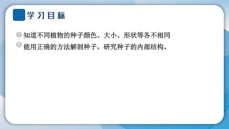 2024教科版科学四年级下册第一单元植物的生长变化1 种子里孕育着新生命 作业课件ppt第2页