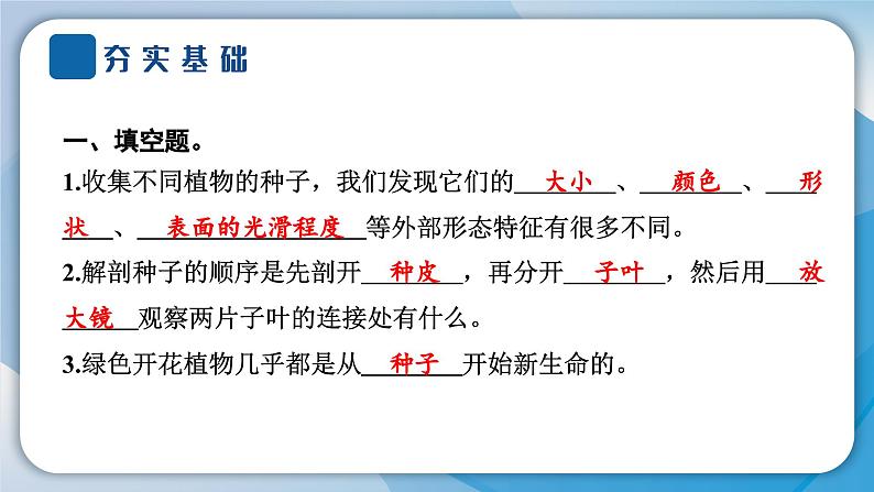 2024教科版科学四年级下册第一单元植物的生长变化1 种子里孕育着新生命 作业课件ppt第3页