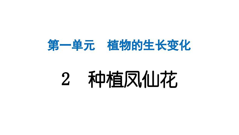 2024教科版科学四年级下册第一单元植物的生长变化2 种植凤仙花 作业课件ppt第1页