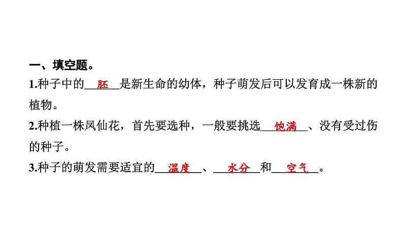 2024教科版科学四年级下册第一单元植物的生长变化2 种植凤仙花 作业课件ppt第3页