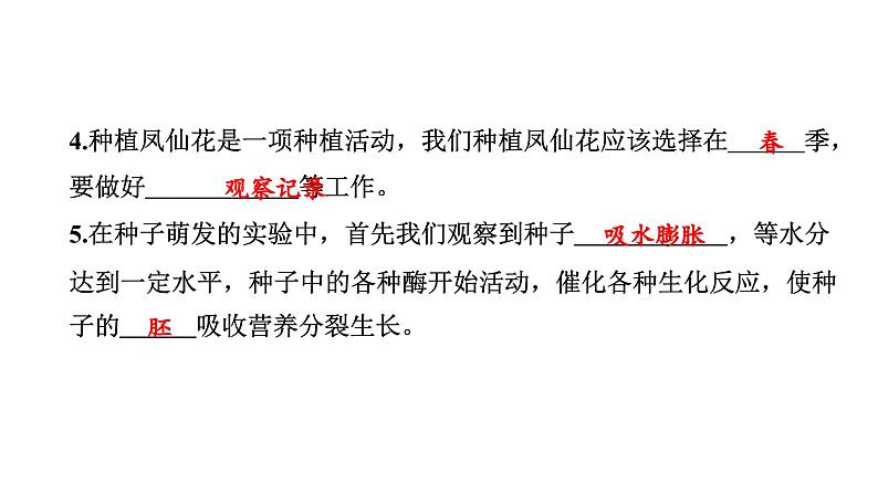 2024教科版科学四年级下册第一单元植物的生长变化2 种植凤仙花 作业课件ppt第4页