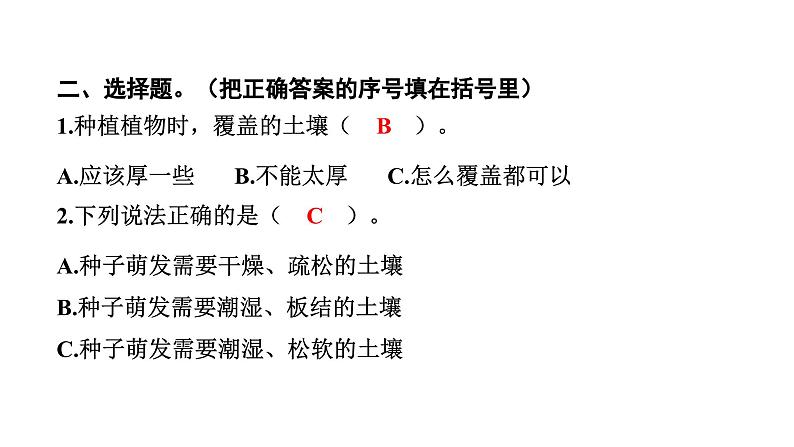 2024教科版科学四年级下册第一单元植物的生长变化2 种植凤仙花 作业课件ppt第5页