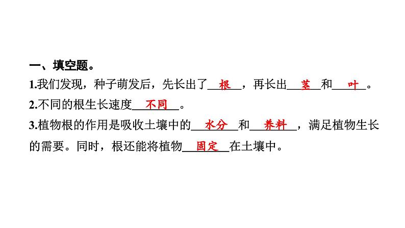 2024教科版科学四年级下册第一单元植物的生长变化3 种子长出了根 作业课件ppt第3页