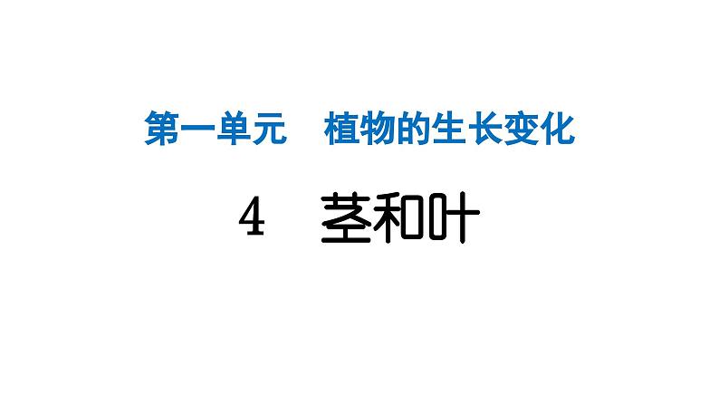 2024教科版科学四年级下册第一单元植物的生长变化4 茎和叶 作业课件ppt第1页