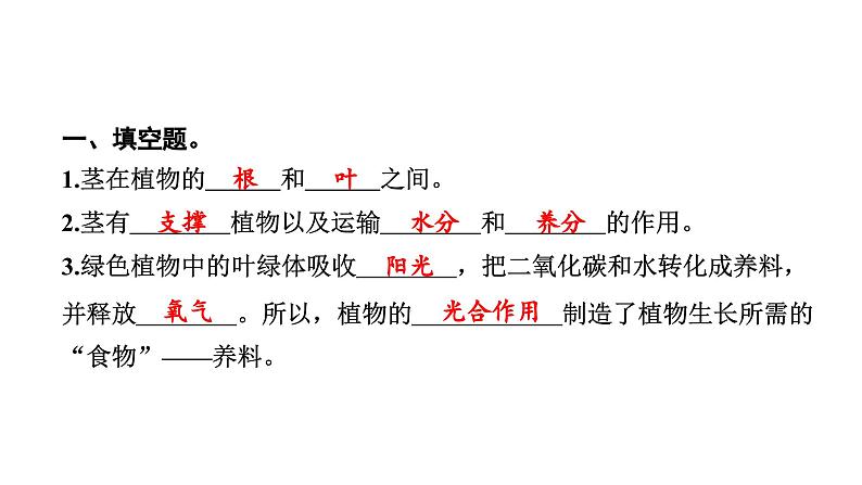 2024教科版科学四年级下册第一单元植物的生长变化4 茎和叶 作业课件ppt第3页