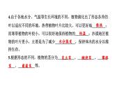2024教科版科学四年级下册第一单元植物的生长变化4 茎和叶 作业课件ppt