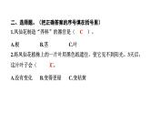 2024教科版科学四年级下册第一单元植物的生长变化4 茎和叶 作业课件ppt