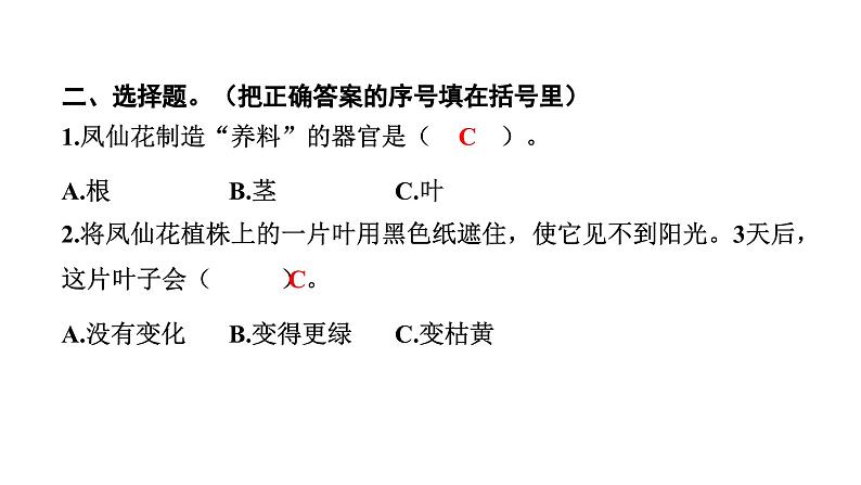 2024教科版科学四年级下册第一单元植物的生长变化4 茎和叶 作业课件ppt第5页