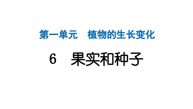 2024教科版科学四年级下册第一单元植物的生长变化6 果实和种子 作业课件ppt第1页