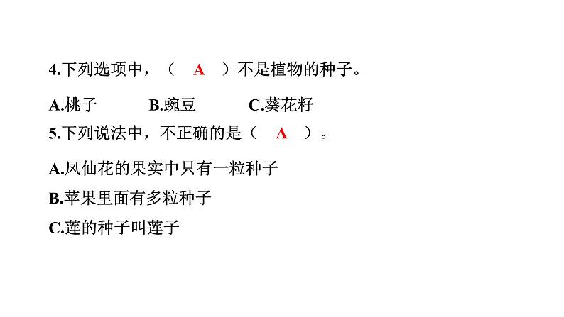 2024教科版科学四年级下册第一单元植物的生长变化6 果实和种子 作业课件ppt第5页