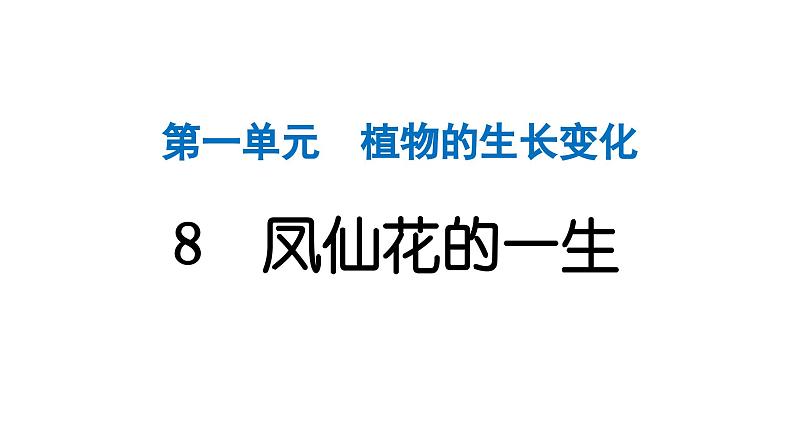 2024教科版科学四年级下册第一单元植物的生长变化8 凤仙花的一生 作业课件ppt第1页