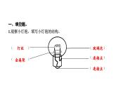 2024教科版科学四年级下册第二单元电路2 点亮小灯泡 作业课件ppt