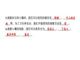 2024教科版科学四年级下册第三单元岩石与土壤1 岩石与土壤的故事 作业课件ppt