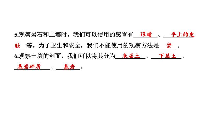 2024教科版科学四年级下册第三单元岩石与土壤1 岩石与土壤的故事 作业课件ppt第4页