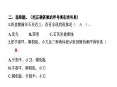2024教科版科学四年级下册第三单元岩石与土壤2 认识几种常见的岩石 作业课件ppt
