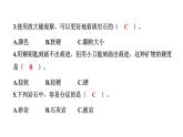 2024教科版科学四年级下册第三单元岩石与土壤2 认识几种常见的岩石 作业课件ppt