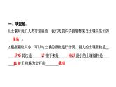 2024教科版科学四年级下册第三单元岩石与土壤6 观察土壤 作业课件ppt