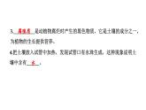 2024教科版科学四年级下册第三单元岩石与土壤6 观察土壤 作业课件ppt