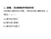 2024教科版科学四年级下册第三单元岩石与土壤6 观察土壤 作业课件ppt