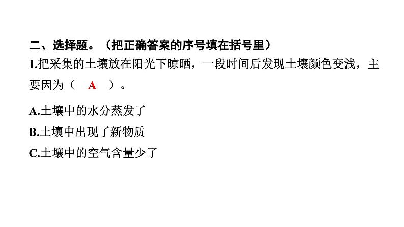 2024教科版科学四年级下册第三单元岩石与土壤6 观察土壤 作业课件ppt第5页