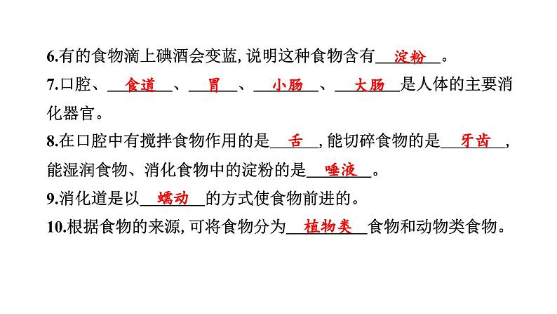 2024教科版科学四年级上册第二单元学习达标测试  作业课件ppt第3页