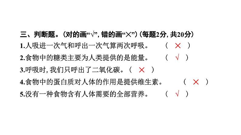 2024教科版科学四年级上册第二单元学习达标测试  作业课件ppt第7页