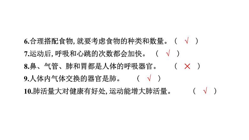 2024教科版科学四年级上册第二单元学习达标测试  作业课件ppt第8页