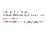 2024教科版科學(xué)四年級(jí)下冊(cè)第一單元學(xué)習(xí)達(dá)標(biāo)測試 作業(yè)課件ppt