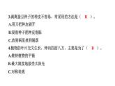 2024教科版科學(xué)四年級(jí)下冊(cè)第一單元學(xué)習(xí)達(dá)標(biāo)測試 作業(yè)課件ppt