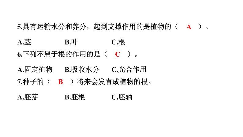 2024教科版科学四年级下册第一单元学习达标测试 作业课件ppt第6页