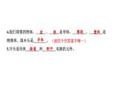 2024教科版科學四年級下冊第二單元學習達標測試 作業(yè)課件ppt