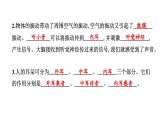 2024教科版科学四年级上册第一单元声音6 我们是怎样听到声音的  作业课件ppt