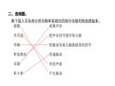 2024教科版科学四年级上册第一单元声音6 我们是怎样听到声音的  作业课件ppt