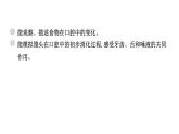 2024教科版科学四年级上册第二单元呼吸与消化6 食物在口腔里的变化  作业课件ppt