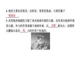 浙江省金华市婺城区2022—2023上学期期末教学质量监测课件五年级上册科学教科版