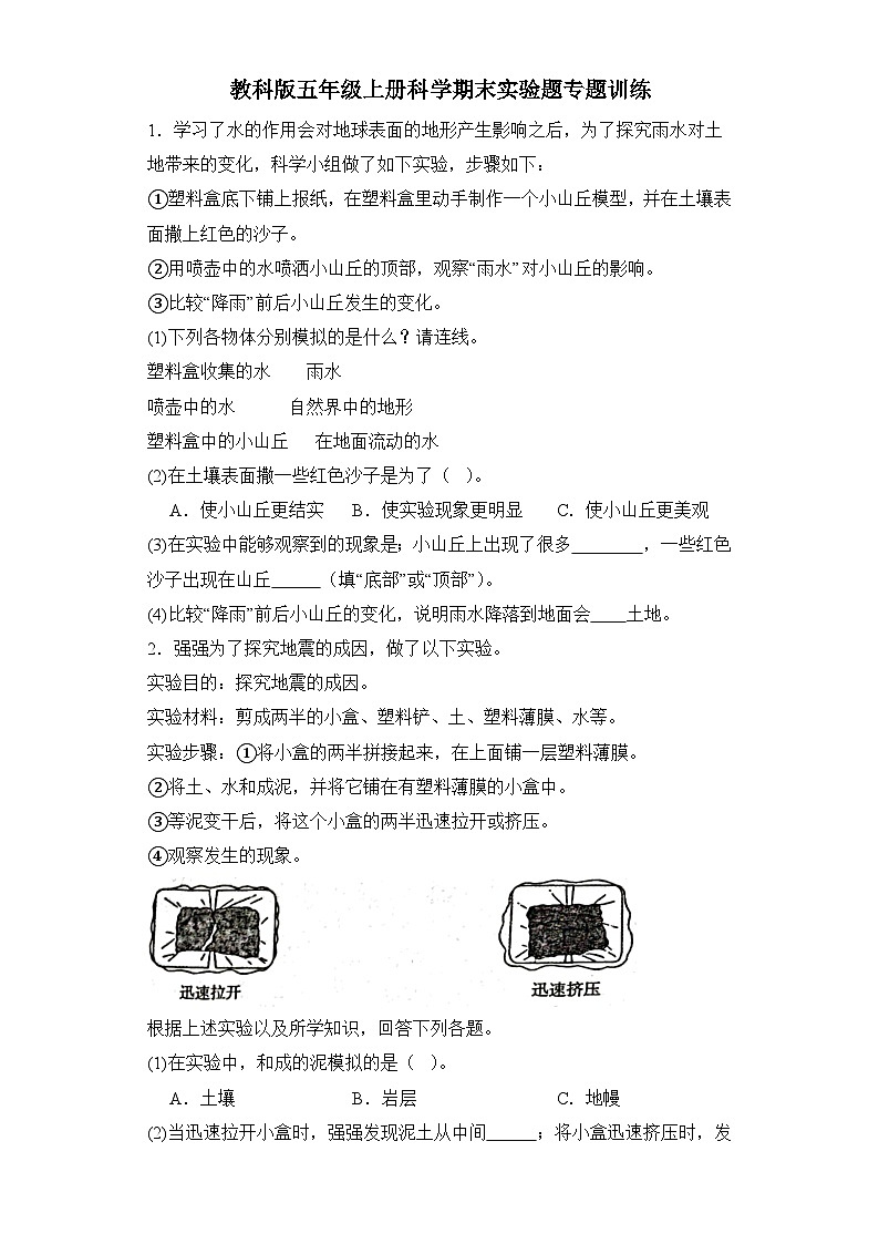 期末实验题专题训练（试题）2024-2025学年五年级上册科学+教科版（2017）第1页