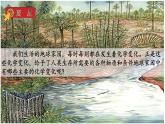 2024教科版科学六年级下册第四单元物质的变化5地球家园的化学变化教学课件ppt