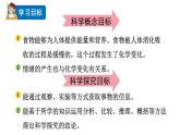 2024教科版科学六年级下册第四单元物质的变化6生命体中的化学变化教学课件ppt