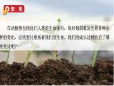2024教科版科学六年级下册第四单元物质的变化6生命体中的化学变化教学课件ppt