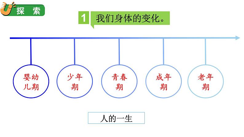 2024教科版科学六年级下册第四单元物质的变化6生命体中的化学变化教学课件ppt第5页