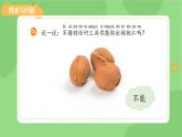 小学科学冀人版（2024）一年级上册第6课 工具帮助我 课件