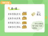 小学科学冀人版一年级上册(2024)第8课 认识物体 课件