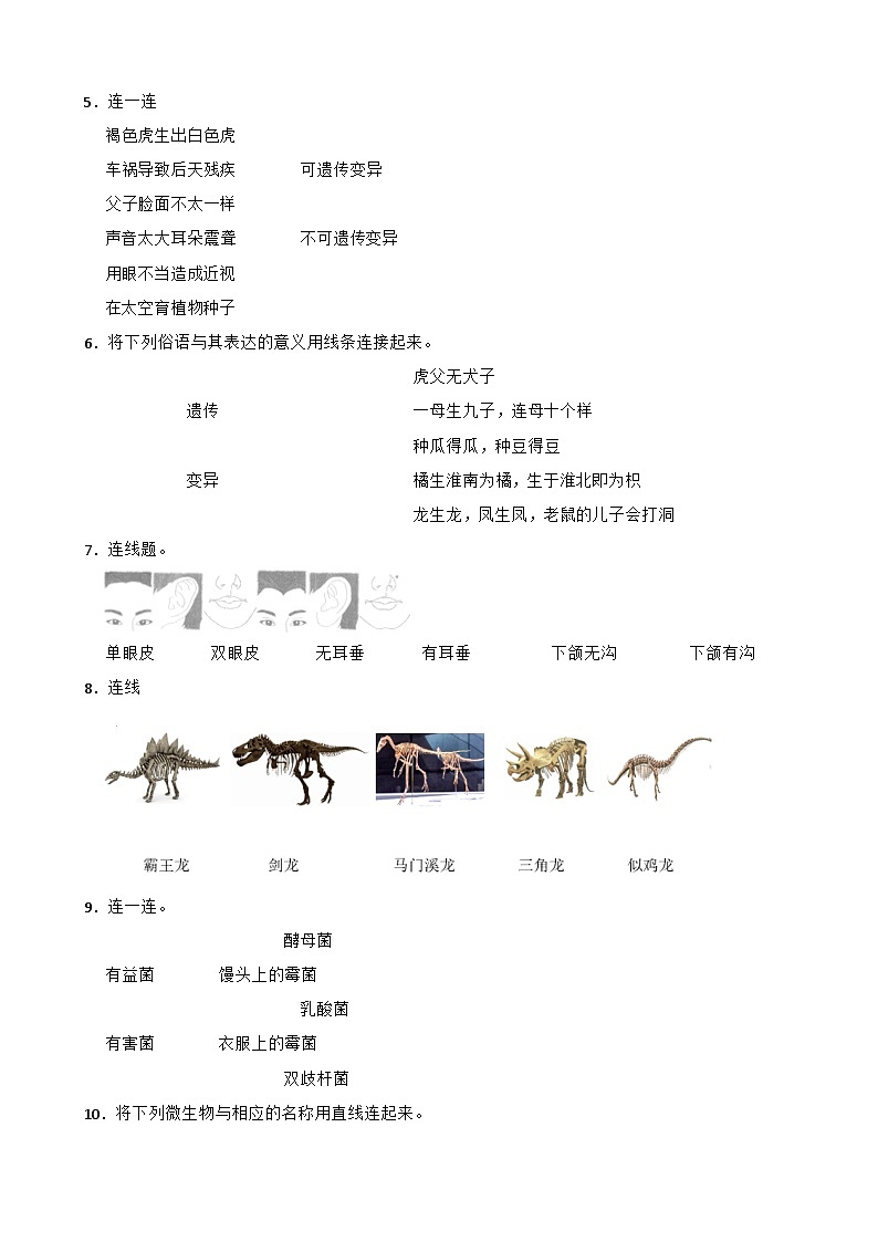 青岛版·六三制小学科学六年级上册期末复习试题汇总--连线 简答题（含答案 解析）第2页